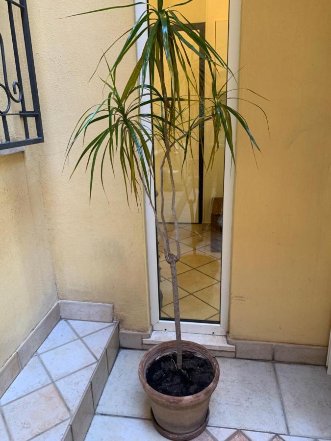 Biora Apartments Cagliari Exterior foto